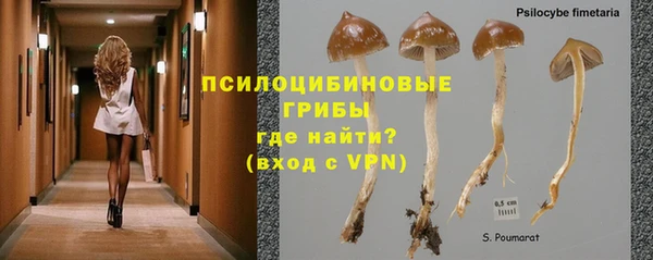бутик Богданович