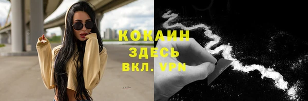 кокс Бородино