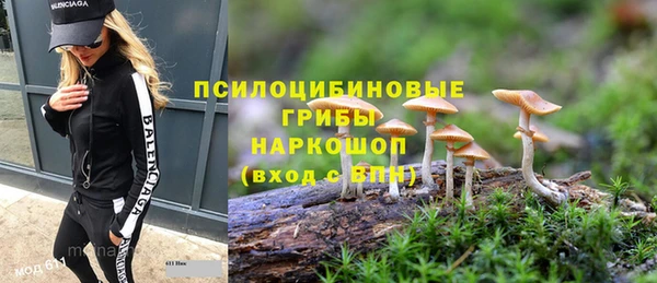 сатива Приозерск