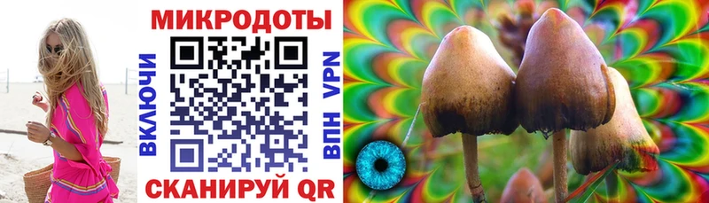 продажа наркотиков  Тбилисская  Галлюциногенные грибы Cubensis 